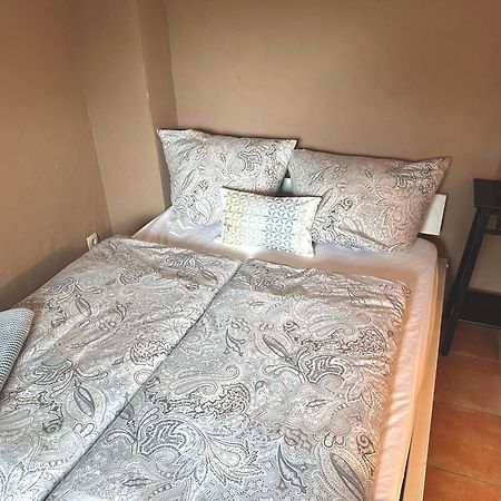 Apartement Am Schloss Pillnitz Dresden Eksteriør billede